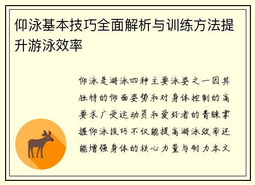 仰泳基本技巧全面解析与训练方法提升游泳效率