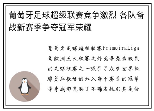 葡萄牙足球超级联赛竞争激烈 各队备战新赛季争夺冠军荣耀